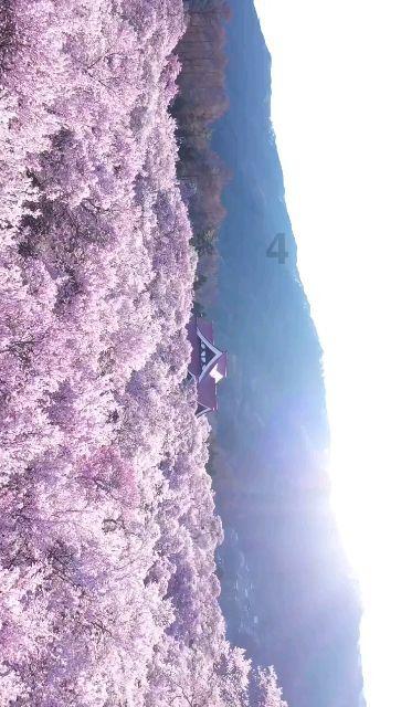 油电混合汽车开空调对电池有影响吗冬天?-专业问答社区